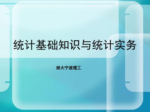 2014年统计基础知识与统计实务资料讲义