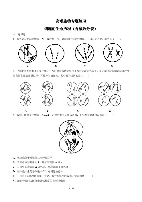 高考生物-细胞的生命历程(含减数分裂)-专题练习有答案