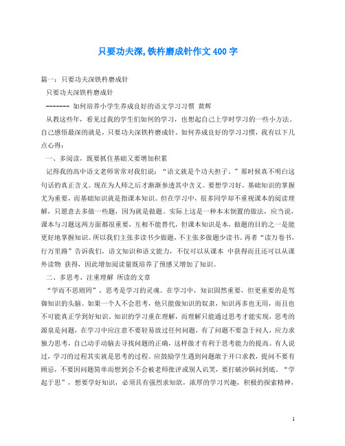 只要功夫深,铁杵磨成针作文400字