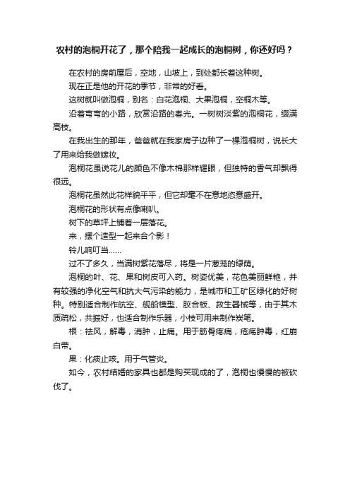 农村的泡桐开花了，那个陪我一起成长的泡桐树，你还好吗？