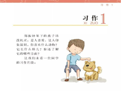 最新苏教版三年级下册语文习作1小动物