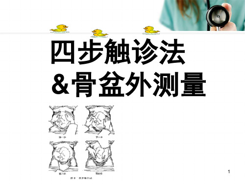 四步触诊法PPT医学课件