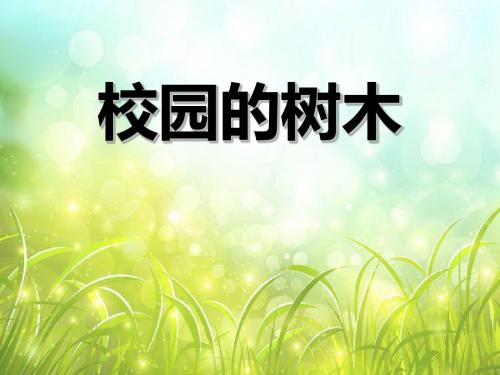 《校园的树木》植物PPT(上课用)3