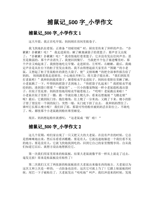 捕鼠记500字小学作文