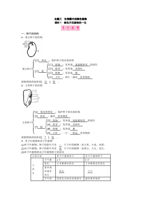 课时5 绿色开花植物的一生(考点梳理)