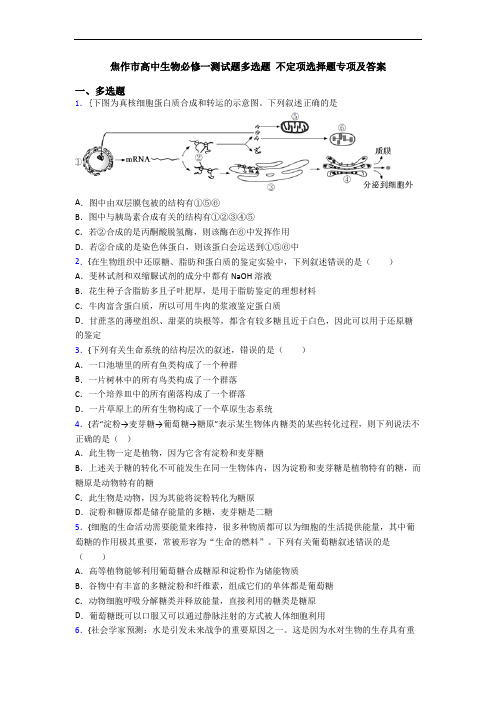 焦作市高中生物必修一测试题多选题 不定项选择题专项及答案