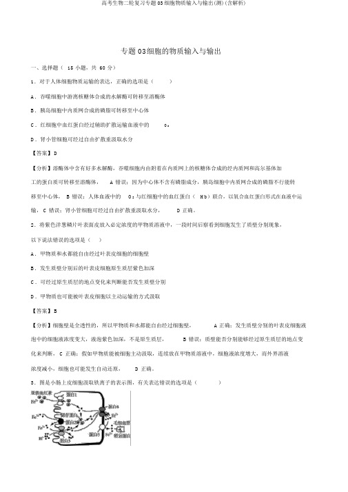 高考生物二轮复习专题03细胞物质输入与输出(测)(含解析)