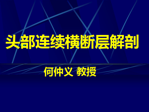 头部水平断层解剖