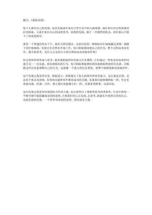 《我的发现》500字文章