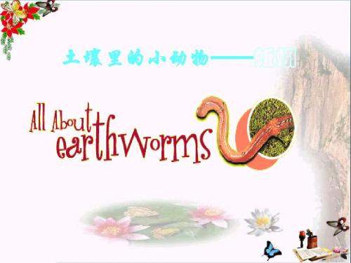 三年级科学上册5.1《探访蚯蚓的家》 优秀课件4大象版