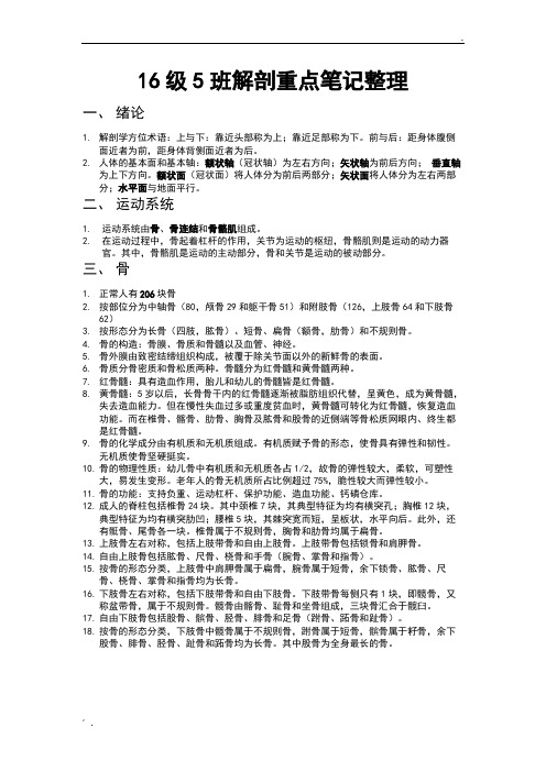 运动解剖学复习重点