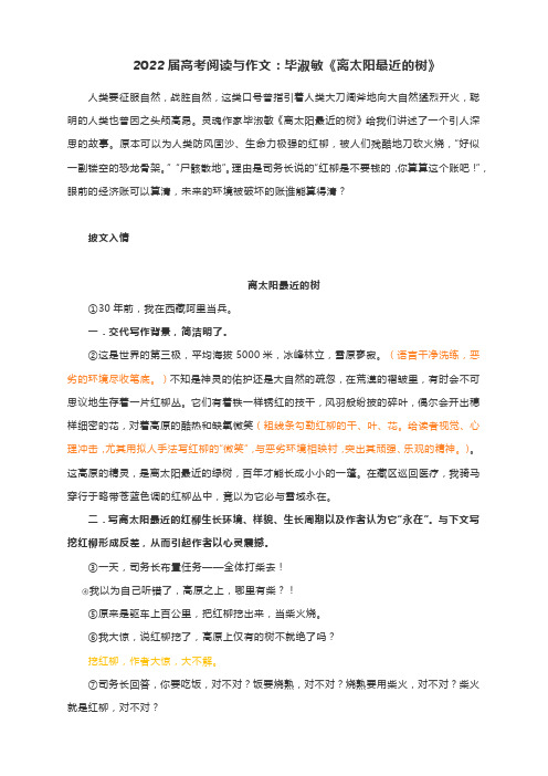 2022届高考阅读与作文：毕淑敏《离太阳最近的树》(附精彩点评与文章珠玑)