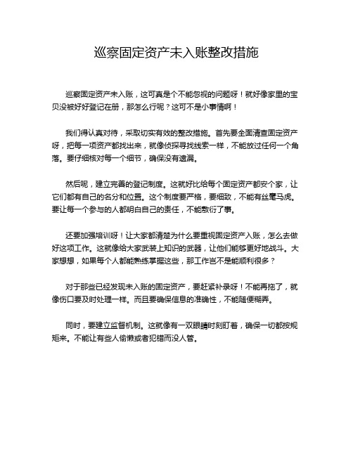 巡察固定资产未入账整改措施