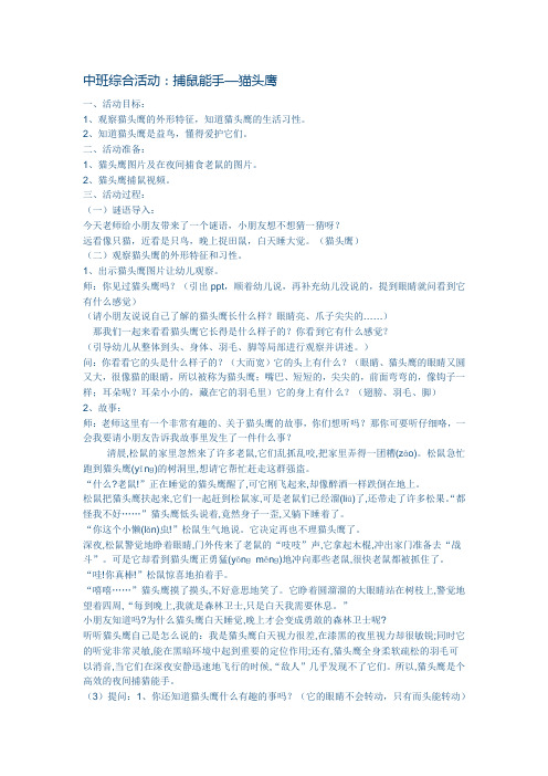 捕鼠能手—猫头鹰