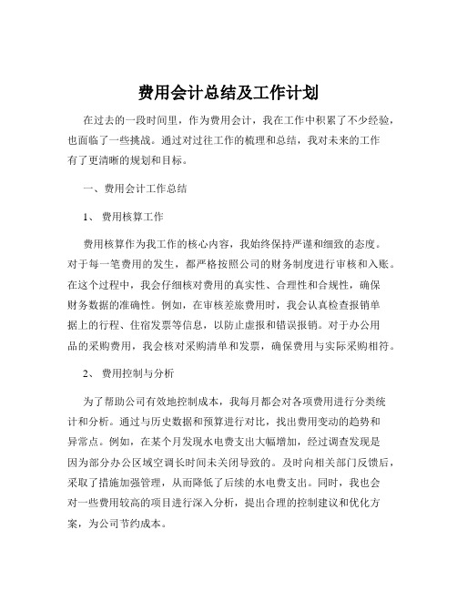 费用会计总结及工作计划