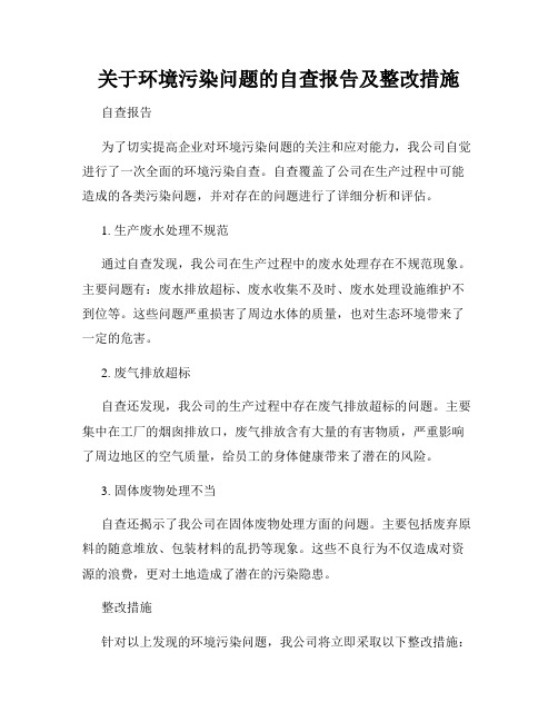 关于环境污染问题的自查报告及整改措施