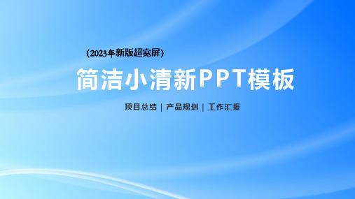 简洁小清新工作汇报相关PPT模板(2023版)