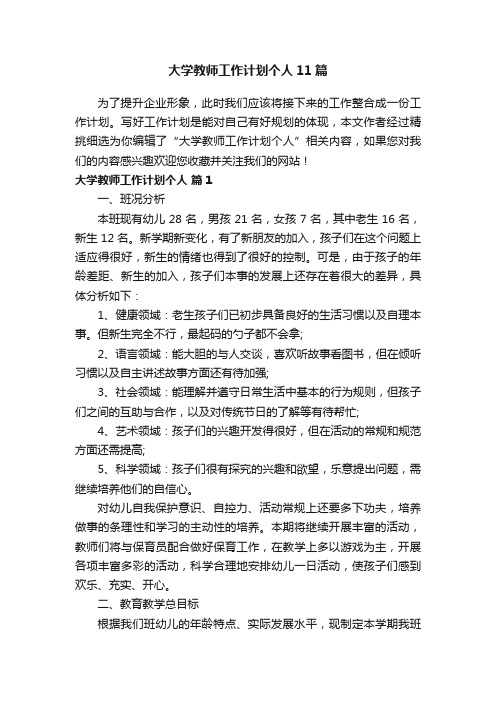 大学教师工作计划个人11篇