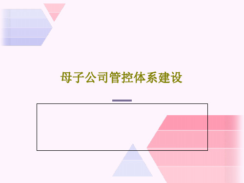 母子公司管控体系建设58页PPT