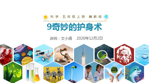 冀教版科学五年级上册9奇妙的护身术课件PPT-附教案