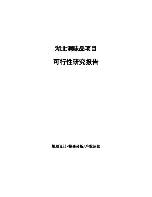 湖北调味品项目可行性研究报告