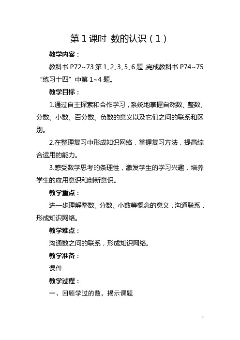 人教版六年级下册《 数的认识(1)》教学设计及反思