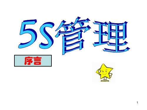 公司5S的起源与发展(ppt 60页)