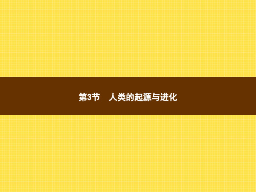 北师大版八年级下册生物 21.3人类的起源与进化 课件 (共12张PPT)