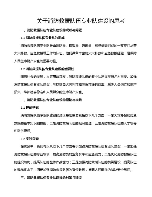 关于消防救援队伍专业队建设的思考