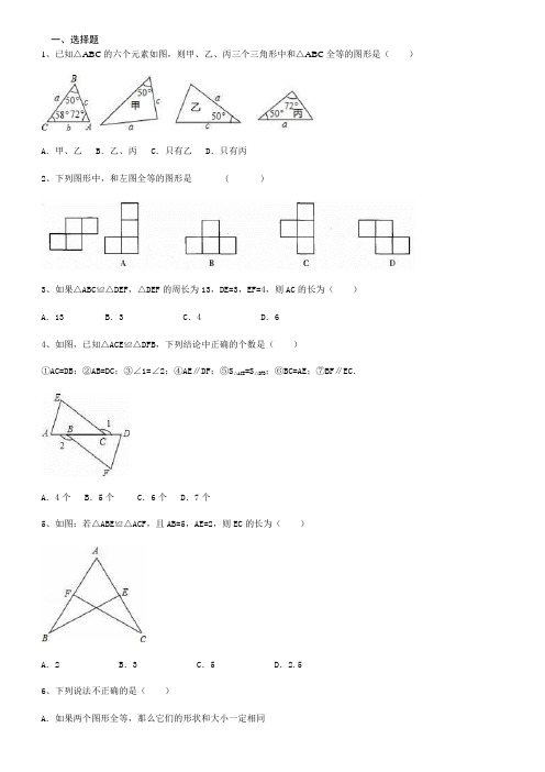 初二数学三角形全等专题含答案