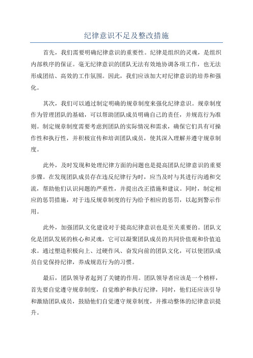 纪律意识不足及整改措施