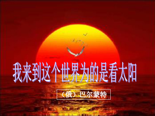 1我来到这个世界为的是看太阳分析