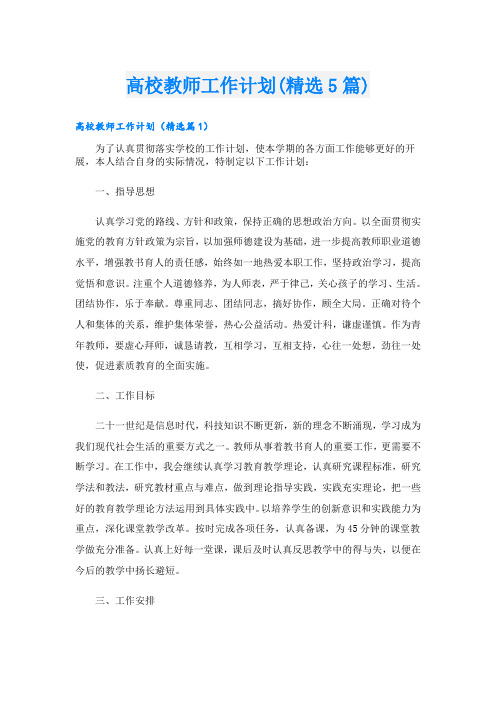 高校教师工作计划(精选5篇)