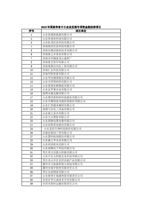 2013年国家和中小企业发展专项资金拟扶持项目