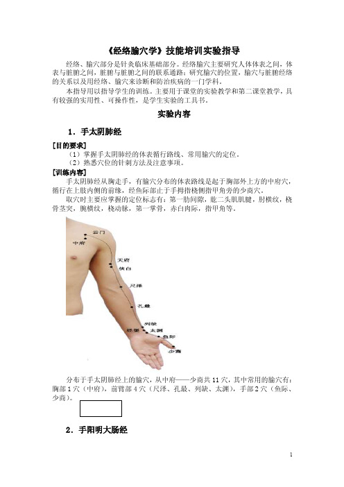 经络学实训大纲