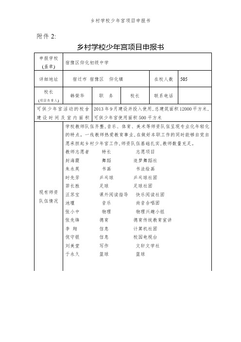 乡村学校少年宫项目申报书