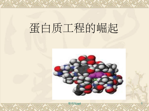 蛋白质工程的崛起ppt(整合)