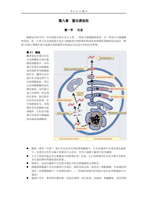 08-分子生物学作业1-第八章蛋白质定位