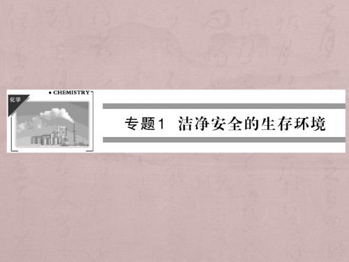 苏教版高中化学选修化学与生活 空气质量的改善课件1