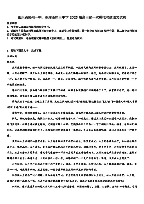 山东省滕州一中、枣庄市第三中学2025届高三第一次模拟考试语文试卷含解析