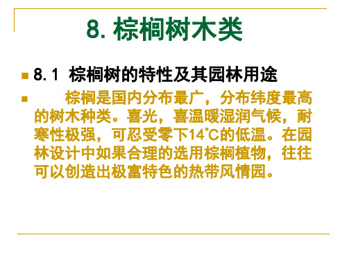 棕榈树的特性及其园林用途