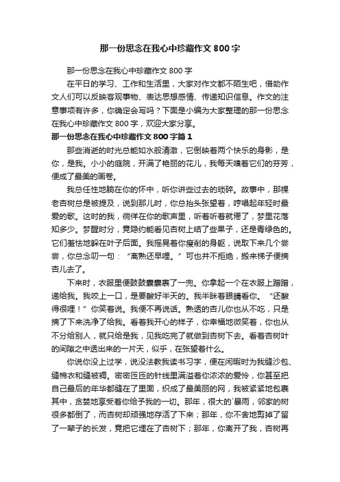 那一份思念在我心中珍藏作文800字