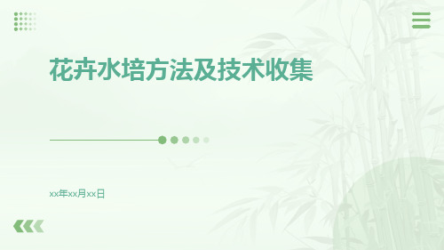 花卉水培方法及技术收集