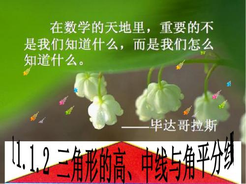 三角形的高、中线与角平分线课件(yong)