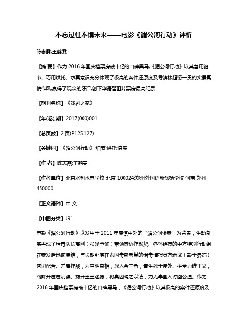 不忘过往不惧未来——电影《湄公河行动》评析