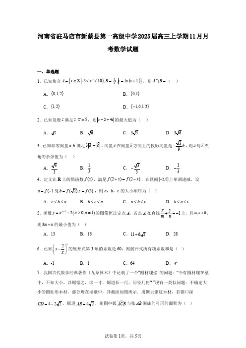 河南省驻马店市新蔡县第一高级中学2025届高三上学期11月月考数学试题