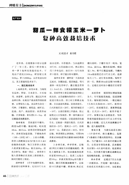 甜瓜-鲜食糯玉米-萝卜复种高效栽培技术