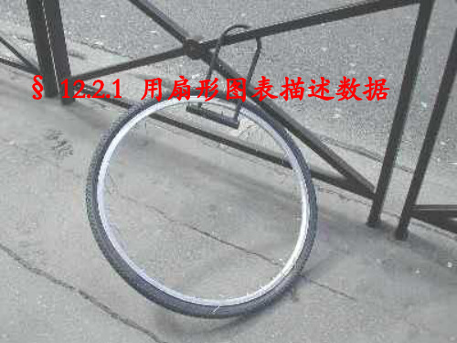 (2019版)用扇形图描述数据
