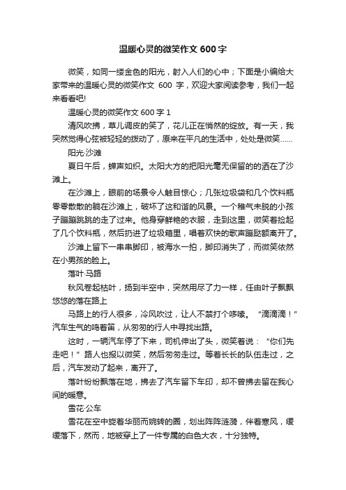 温暖心灵的微笑作文600字