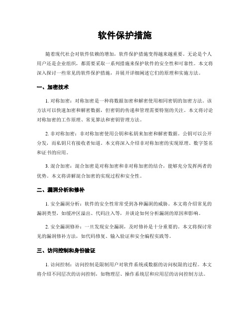 软件保护措施